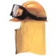Wildland Helmet